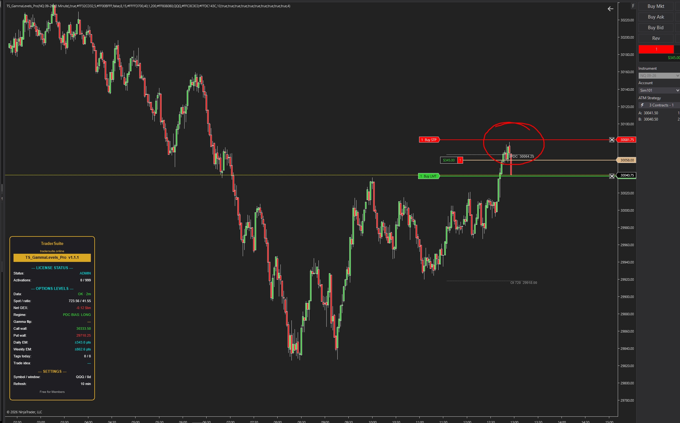TS_GammaLevels_Pro - NT8 Trading Indicator